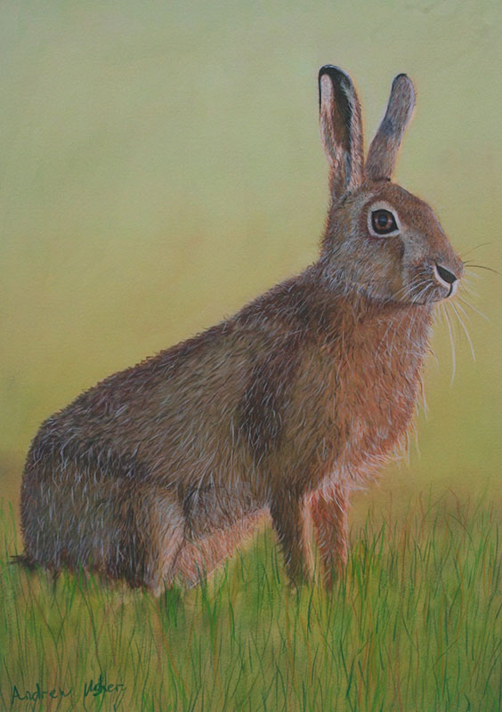 Painting of a rabbit satb upright in green grass